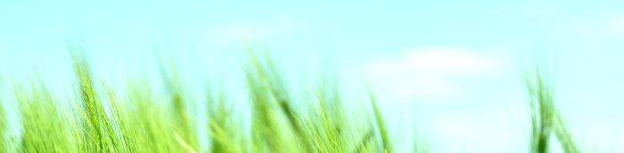 Waldb?ckelheim Landkreis Bad Kreuznach Waldb?ckelheim Landstadt